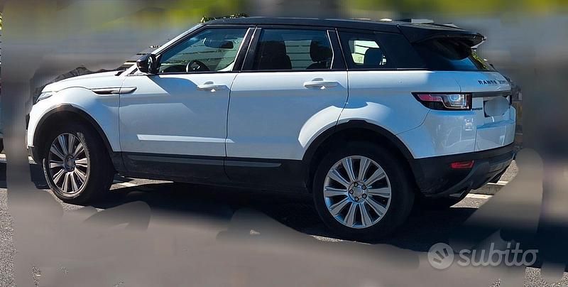 Usata Land Rover Range Rover evoque Pure 150 CV (110 kW) 2017 Bianco Berlina