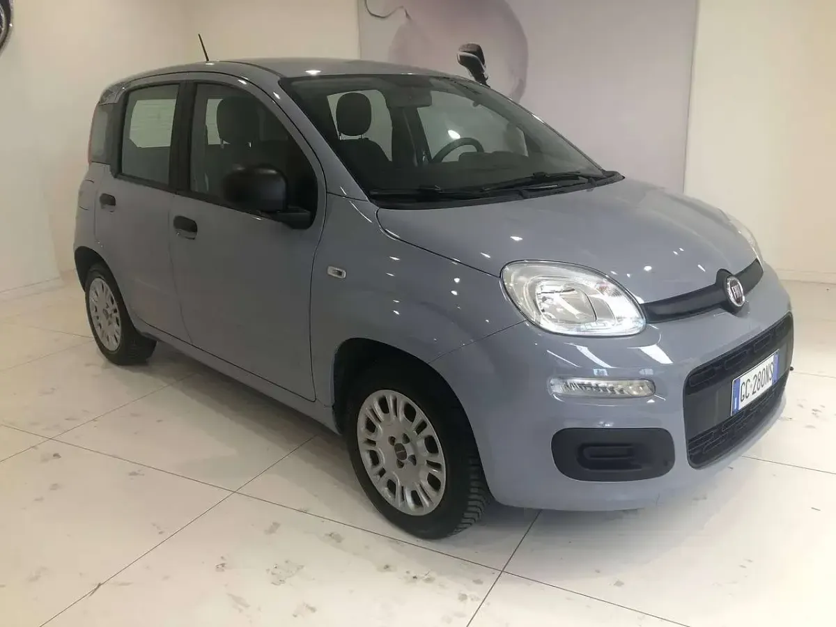 Usata Fiat Panda Easy 69 CV (50 kW) 2020 Grigio Utilitaria