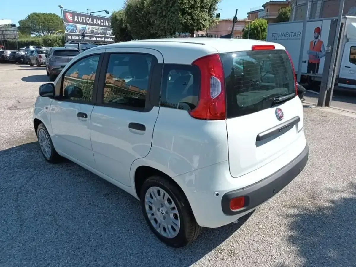 Nuova Fiat Panda Icon 69 CV (50 kW) 2025 Bianco Utilitaria