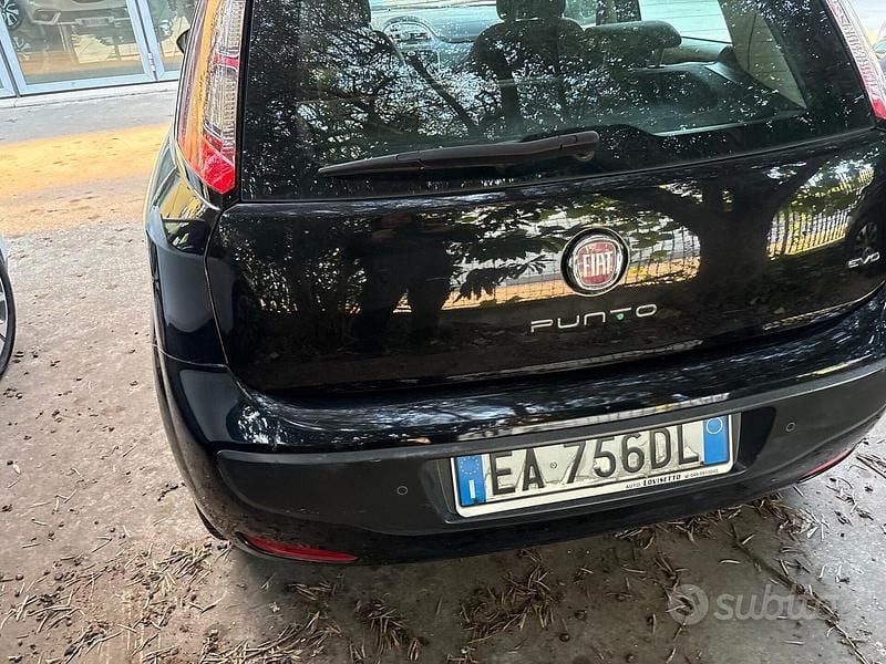 Usata Fiat Punto Evo Active 77 CV (56 kW) 2011 Nero Utilitaria