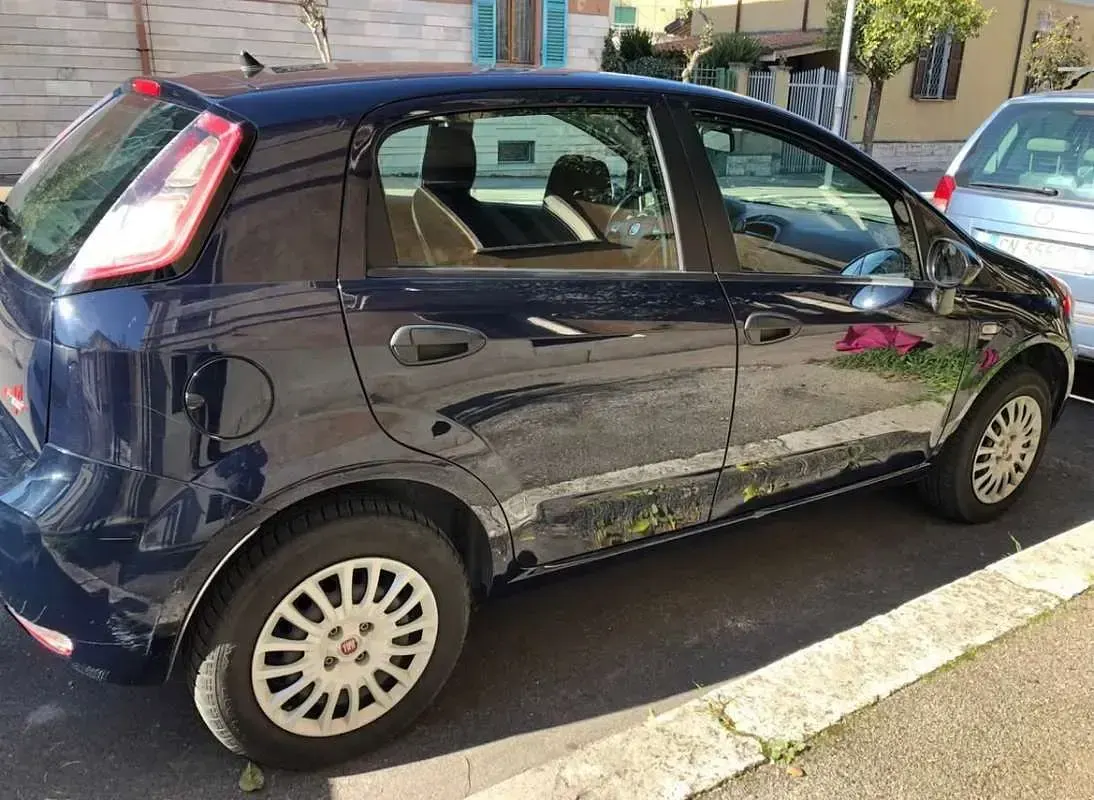Usata Fiat Punto Street 69 CV (50 kW) 2015 Blu/azzurro Utilitaria