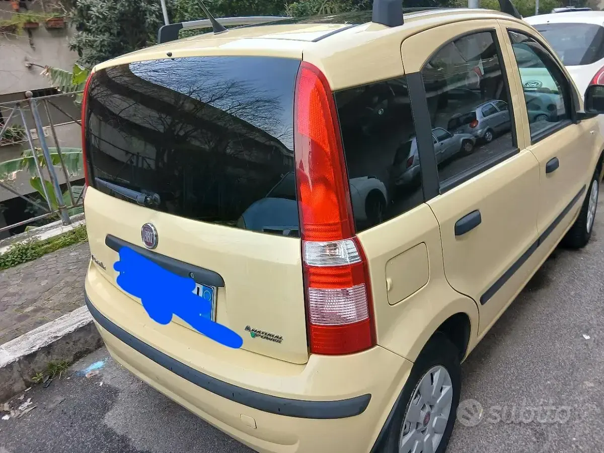 Usata Fiat Panda 77 CV (56 kW) 2010 Giallo Utilitaria
