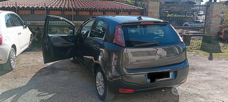 Usata Fiat Punto Evo 95 CV (69 kW) 2011 Grigio Utilitaria