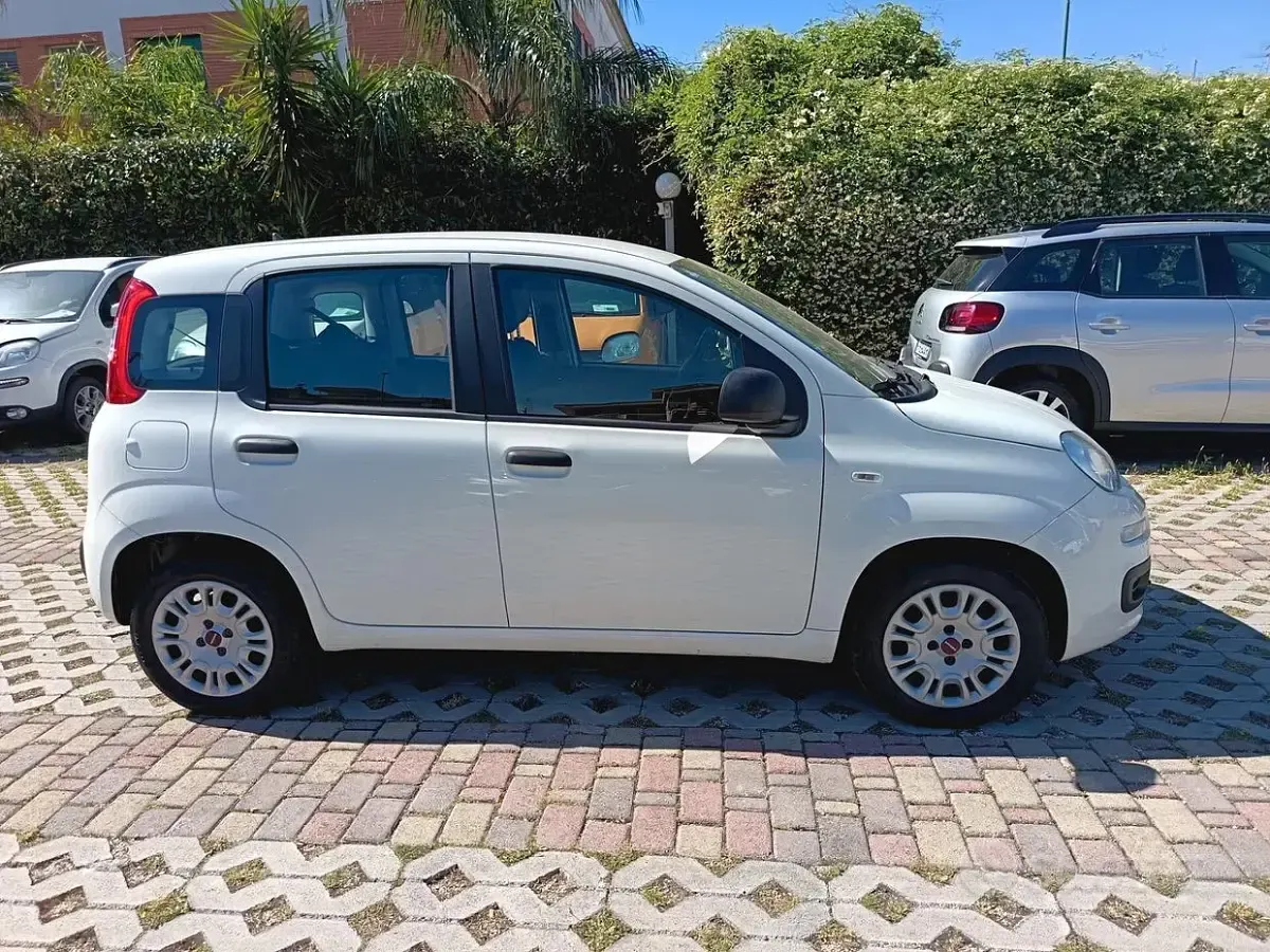 Usata Fiat Panda Lounge 69 CV (50 kW) 2019 Bianco Utilitaria