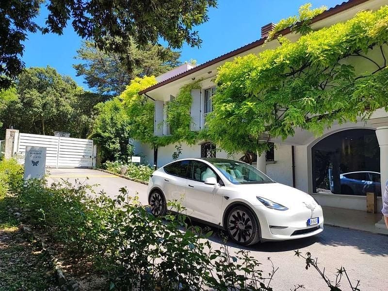 Usata Tesla Model Y Performance 392 kW (534 CV) 2023 Bianco SUV