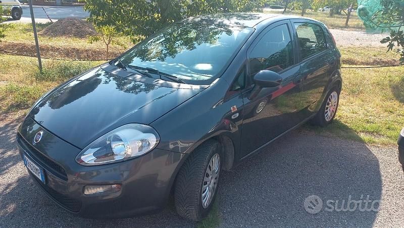 Usata Fiat Punto Lounge 69 CV (50 kW) 2016 Grigio Utilitaria