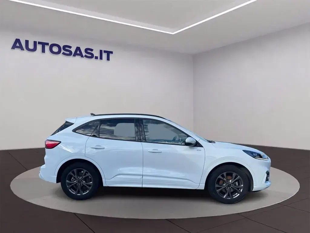 Usata Ford Kuga ST-Line 190 CV (139 kW) 2023 Bianco SUV