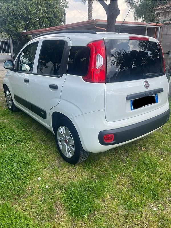 Usata Fiat Panda 69 CV (50 kW) 2019 Bianco Utilitaria