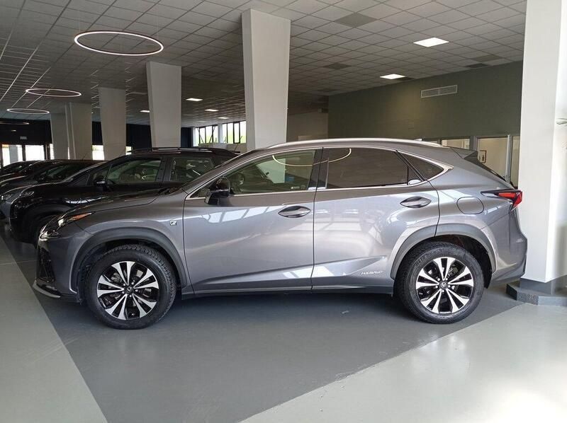 Usata Lexus NX300h Sport Line 197 CV (144 kW) 2019 Grigio SUV