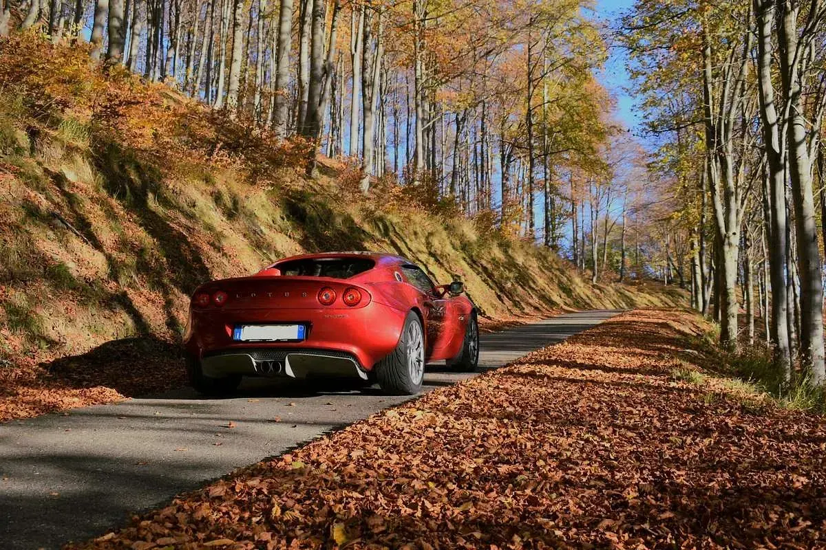 Usata Lotus Elise 136 CV (100 kW) 2014 Cabrio