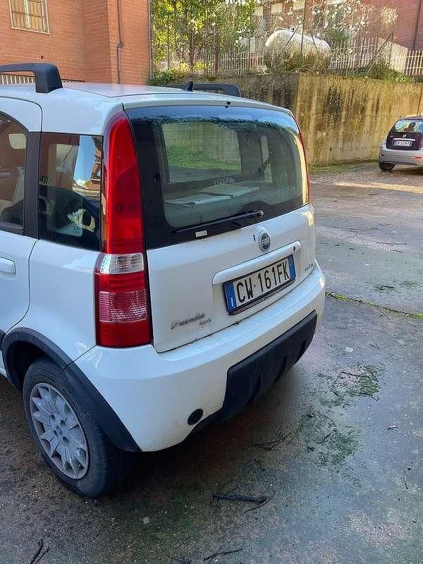 Usata Fiat Panda 4x4 Climbing 60 CV (44 kW) 2005 Bianco Utilitaria