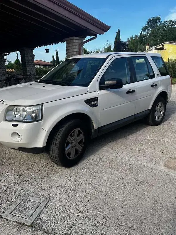 Usata Land Rover Freelander 2 SE 160 CV (117 kW) 2009 Bianco SUV