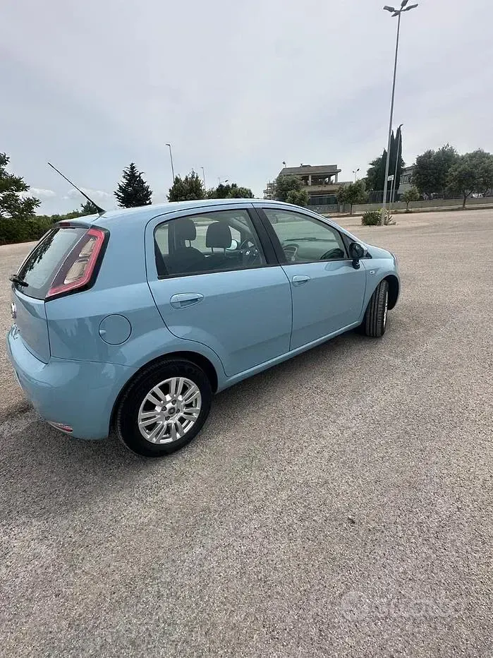 Usata Fiat Punto Evo Lounge 69 CV (50 kW) 2014 Utilitaria