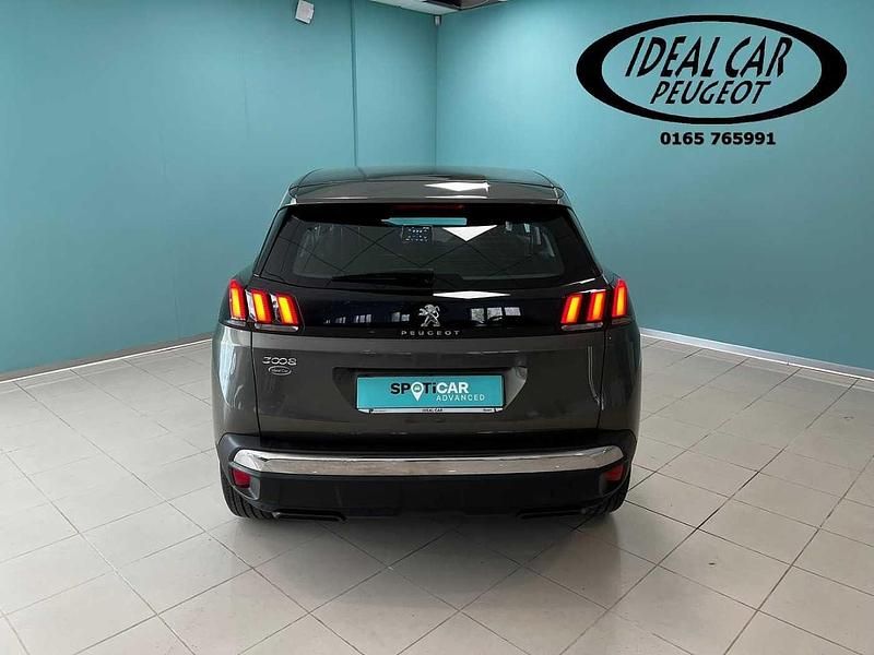 Usata Peugeot 3008 Business-Line 131 CV (96 kW) 2019 Marrone SUV