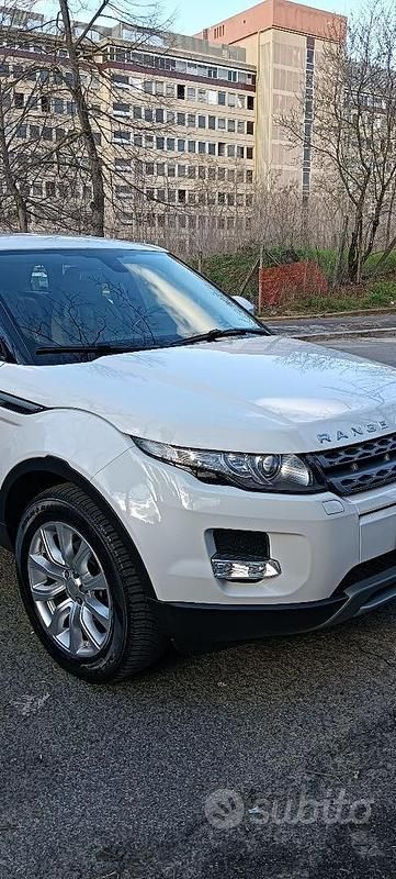 Usata Land Rover Range Rover evoque 150 CV (110 kW) 2014 Bianco SUV