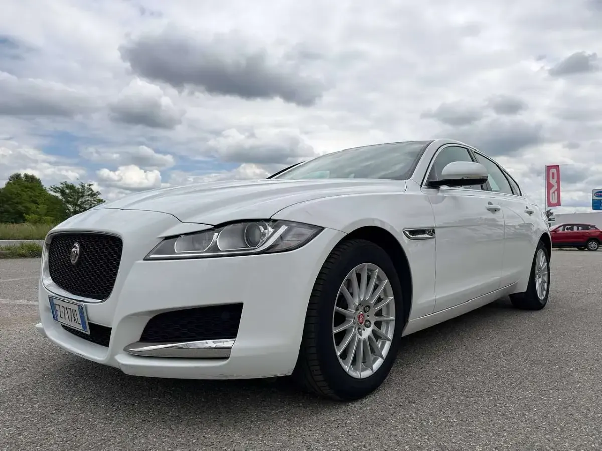 Usata Jaguar XF Pure 250 CV (183 kW) 2019 Bianco Berlina