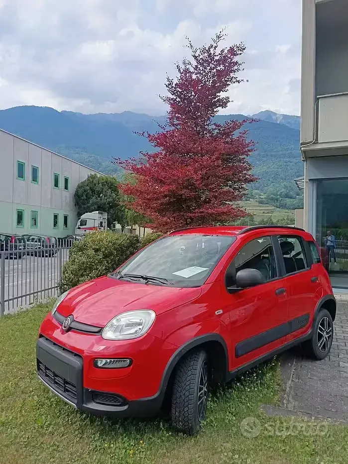 Usata Fiat Panda 4x4 85 CV (62 kW) 2019 Utilitaria