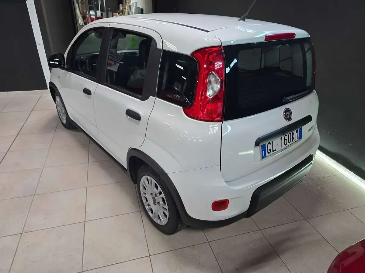 Usata Fiat Panda S 70 CV (51 kW) 2022 Bianco Utilitaria
