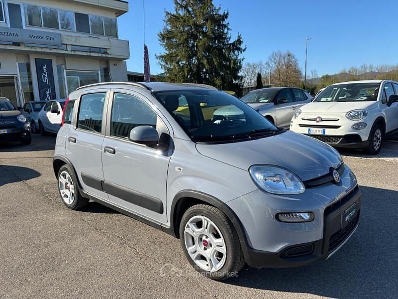 Usata Fiat Panda S 69 CV (50 kW) 2022 Gray Utilitaria