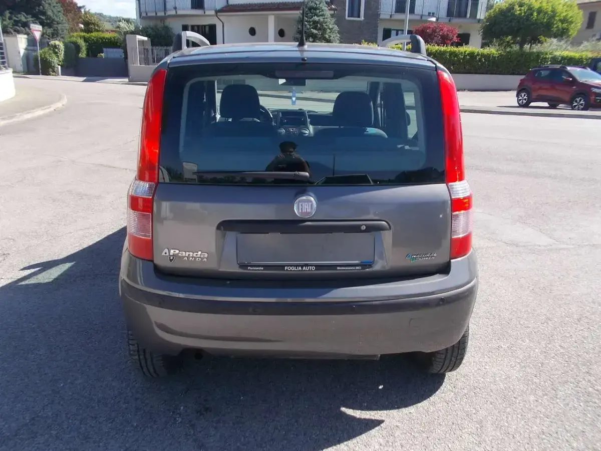 Usata Fiat Panda Dynamic 60 CV (44 kW) 2009 Grigio Utilitaria