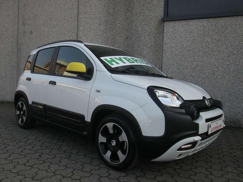 Usata Fiat Panda Cross Cross 69 CV (50 kW) 2025 Verde foresta Utilitaria