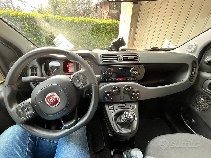 Usata Fiat Panda Easy 69 CV (50 kW) 2020 Grigio Utilitaria