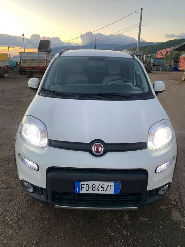 Usato 2016 Fiat Panda 4x4 1.2 Diesel 95 CV (14.000 €)