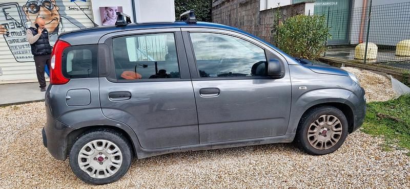 Usata Fiat Panda Lounge 69 CV (50 kW) 2017 Grigio Utilitaria
