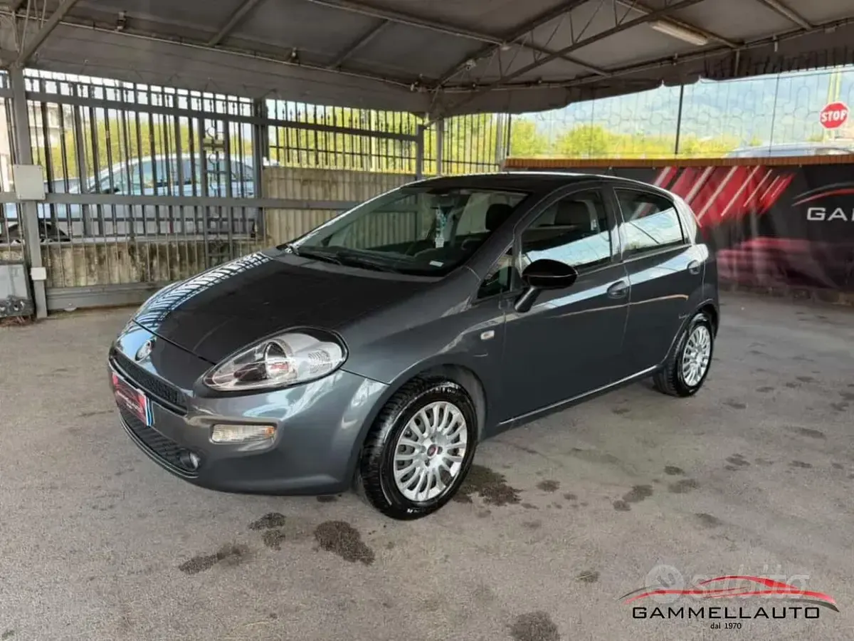 Usata Fiat Punto Lounge 69 CV (50 kW) 2016 Grigio Utilitaria