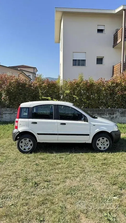Usata Fiat Panda 4x4 60 CV (44 kW) 2008 Utilitaria