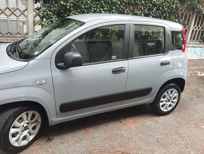 Usata Fiat Panda Easy 85 CV (62 kW) 2020 Grigio Utilitaria