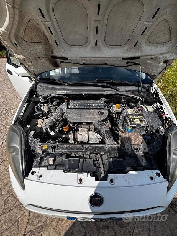 Usata Fiat Punto 2013 Utilitaria
