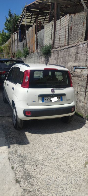 Usata Fiat Panda 85 CV (62 kW) 2013 Bianco Utilitaria