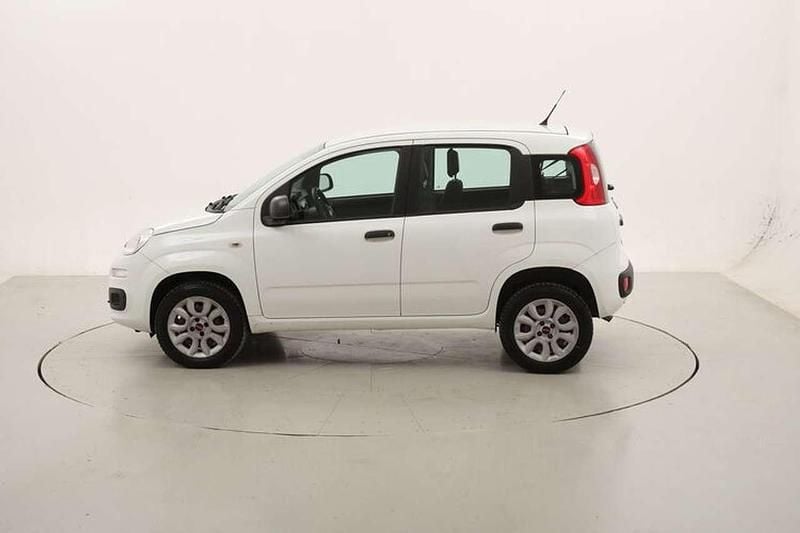 Usata Fiat Panda Easy 86 CV (63 kW) 2018 Bianco Utilitaria