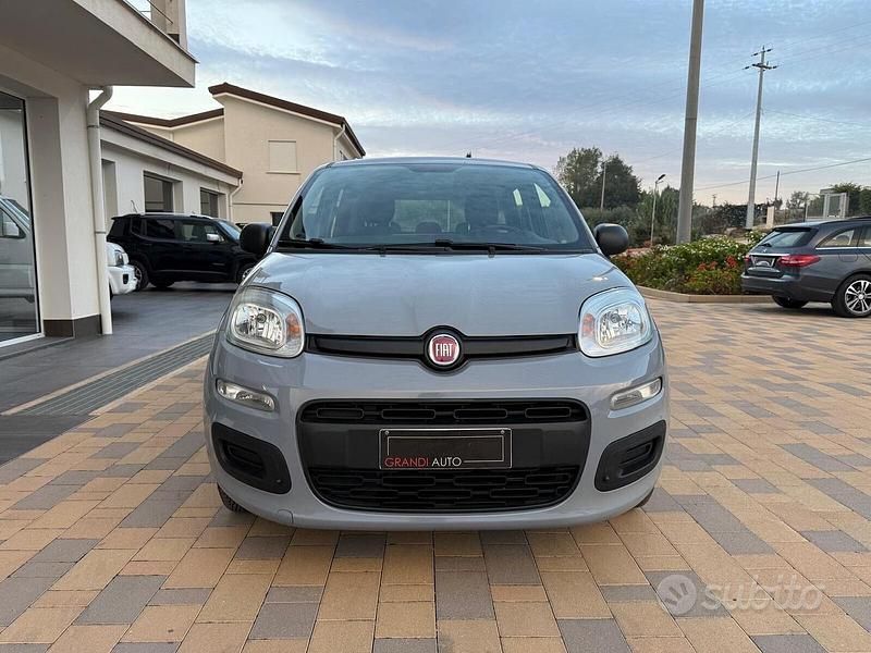 Usata Fiat Panda Easy 69 CV (50 kW) 2020 Grigio Utilitaria