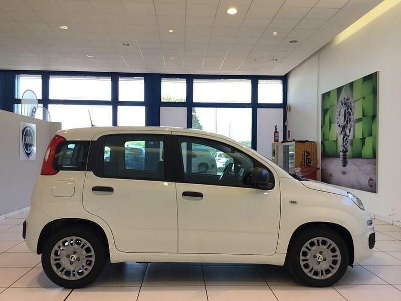 Nuova Fiat Panda Icon 70 CV (51 kW) 2025 Bianco Utilitaria