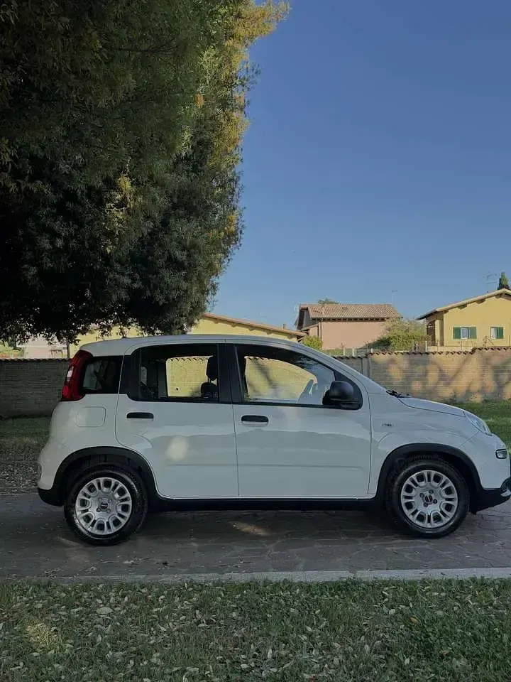 Usata Fiat Panda S 69 CV (50 kW) 2023 Bianco Utilitaria
