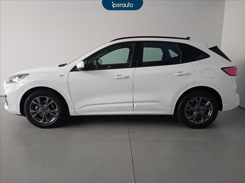 Usata Ford Kuga ST-Line 190 CV (139 kW) 2022 Bianca SUV