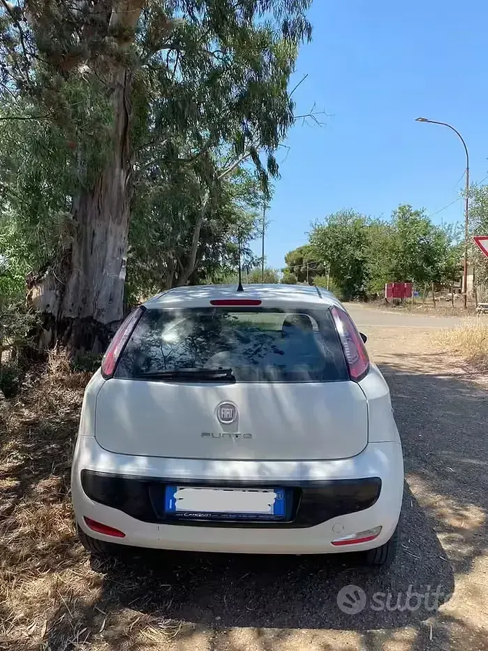 Usata Fiat Punto Evo 75 CV (55 kW) 2010 Bianco Utilitaria