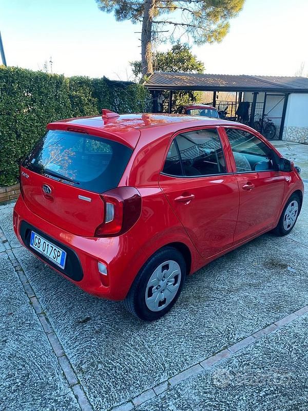 Usata Kia Picanto 2020 Utilitaria