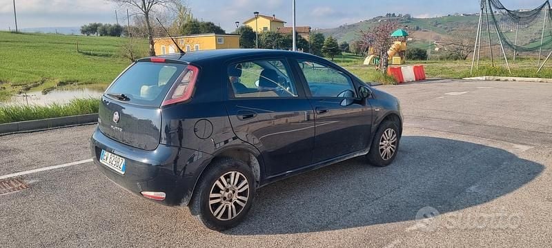 Usata Fiat Punto Evo 77 CV (56 kW) 2014 Blu Utilitaria