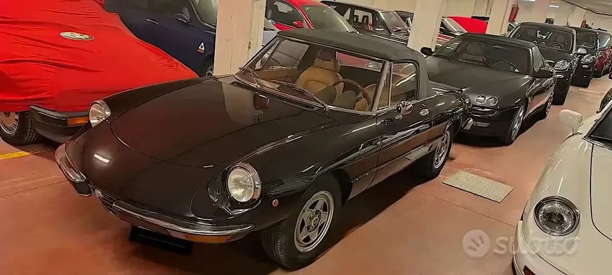 Usata Alfa Romeo Spider Veloce 131 CV (96 kW) 1982 Cabrio