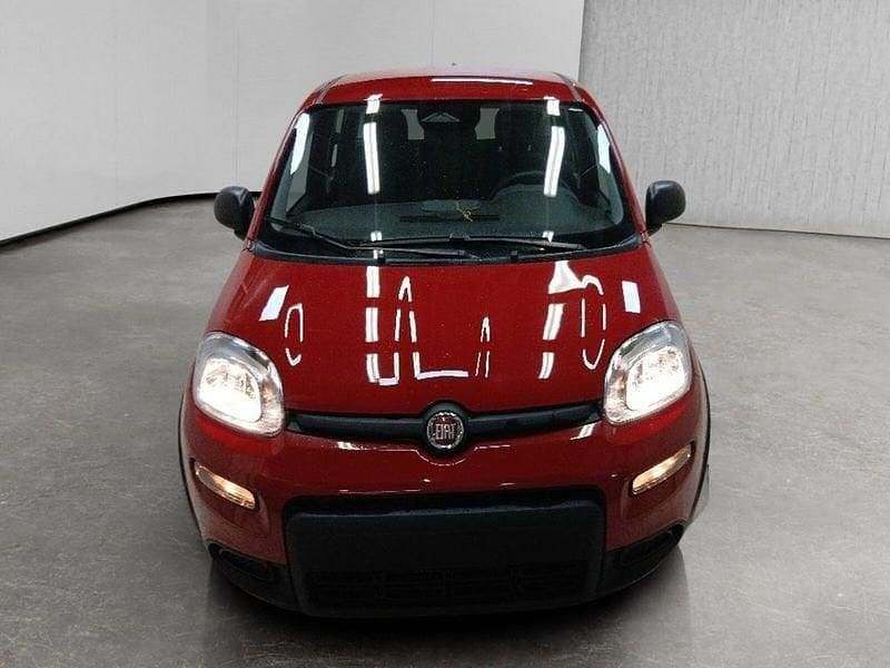Usata Fiat Panda S 69 CV (50 kW) 2024 Rosso Utilitaria
