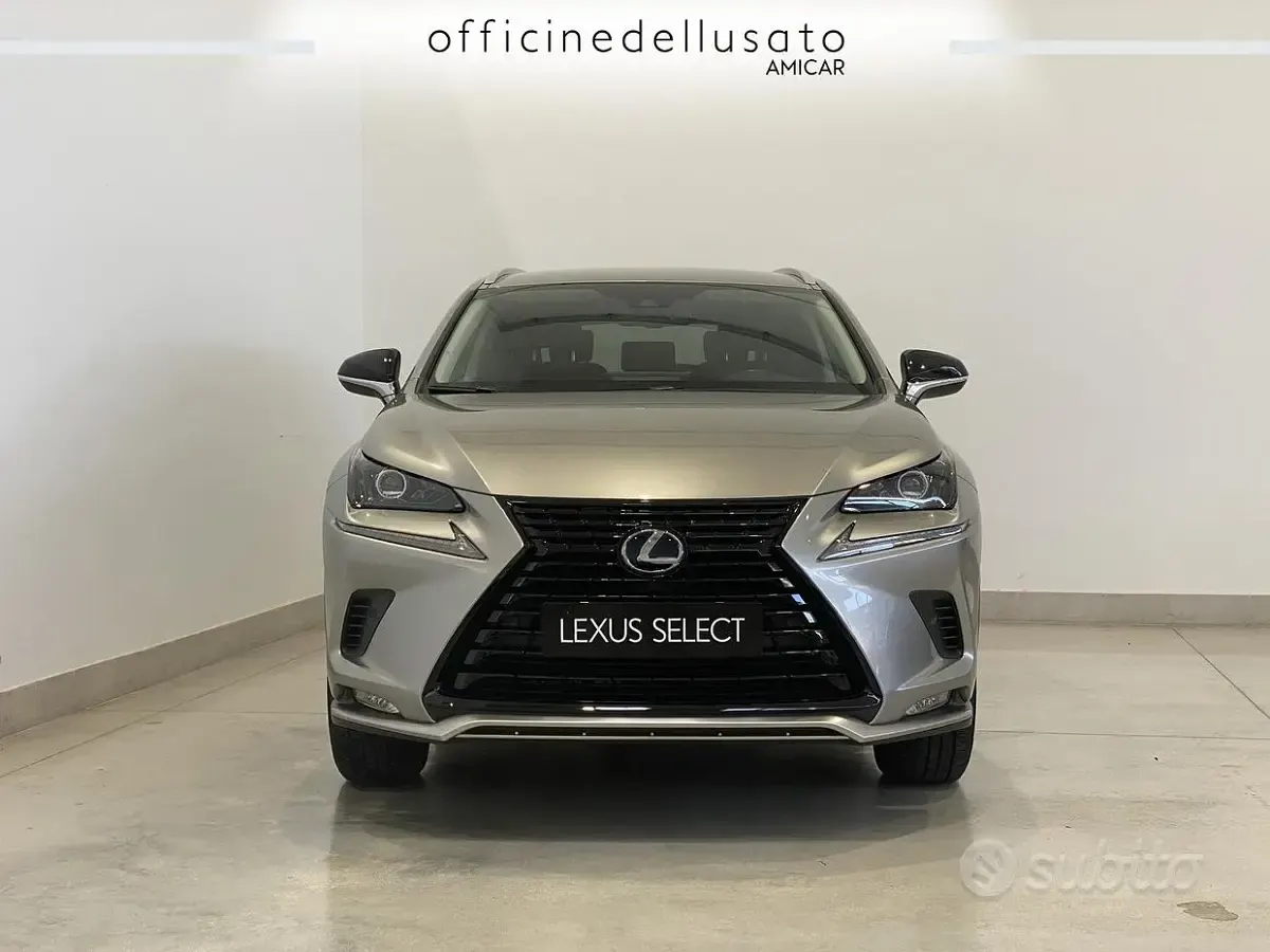 Usata Lexus NX300h 155 CV (114 kW) 2021 SUV