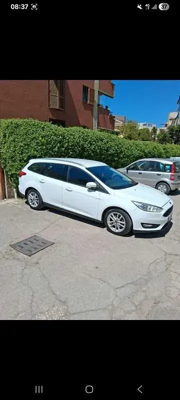 Usata Ford Focus Business Edition 120 CV (88 kW) 2017 Station wagon