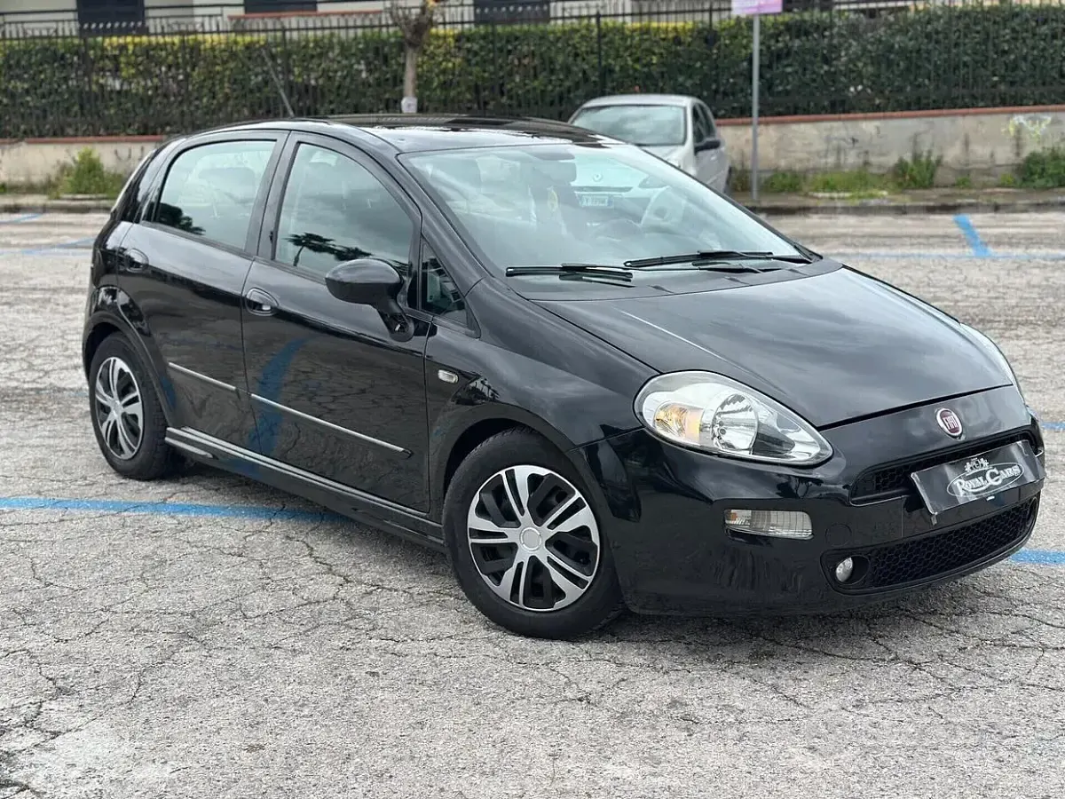 Usata Fiat Punto Evo Easy 85 CV (62 kW) 2013 Utilitaria
