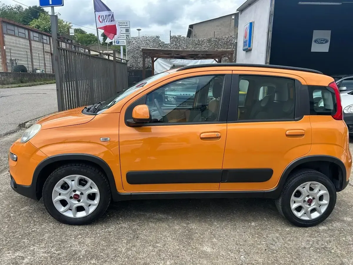 Usata Fiat Panda Trekking 80 CV (58 kW) 2013 Utilitaria