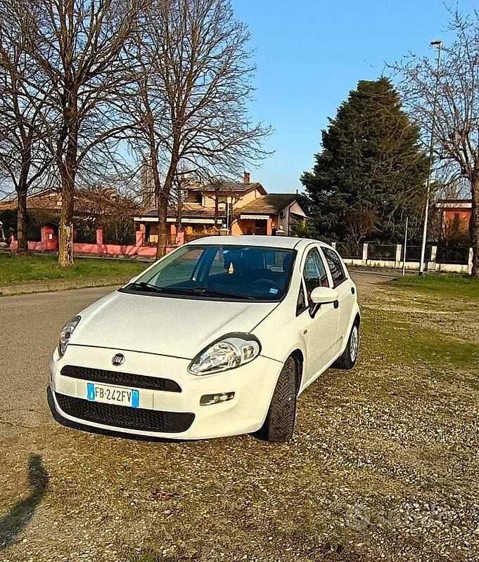 Usata Fiat Punto 2015 Bianco Utilitaria