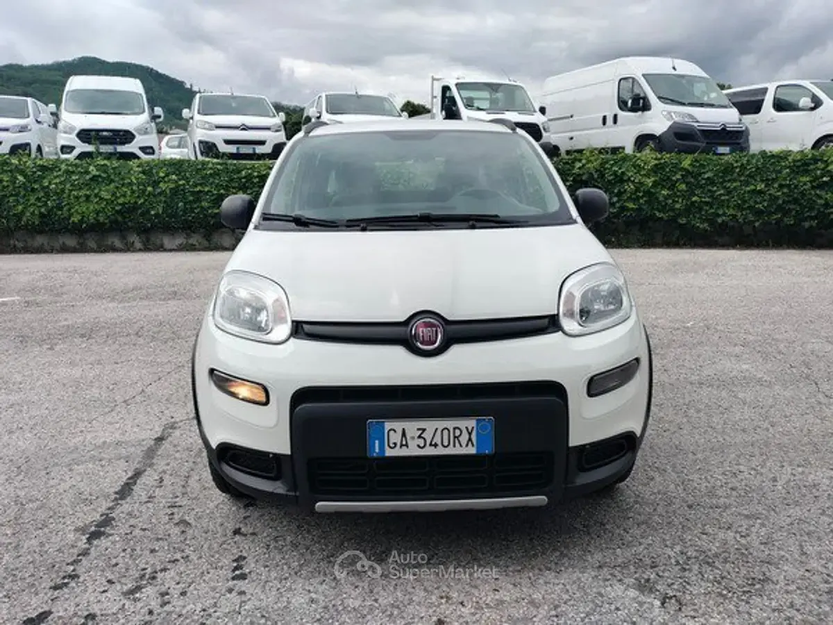 Usata Fiat Panda 4x4 S 86 CV (63 kW) 2020 Bianco Utilitaria