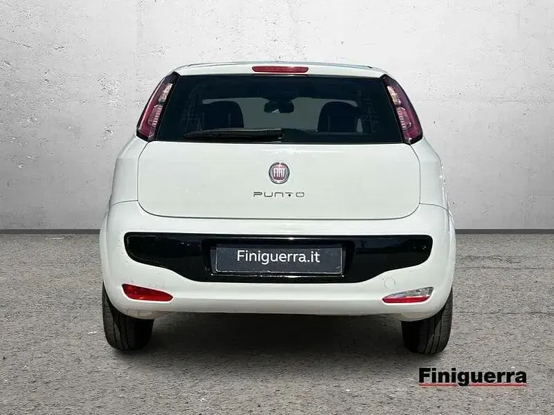 Usata Fiat Punto Evo Active 69 CV (50 kW) 2011 Other Utilitaria